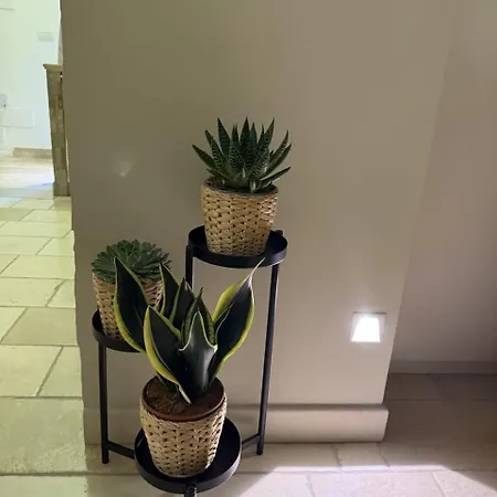 Διαμέρισμα Amarla Dolce Feel Good, You're In Μπάρι