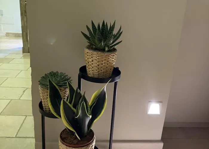 Apartament Amarla Dolce Feel Good, You're In Bari