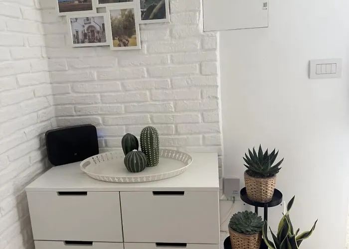 Amarla Dolce Feel Good, You're In Apartament *